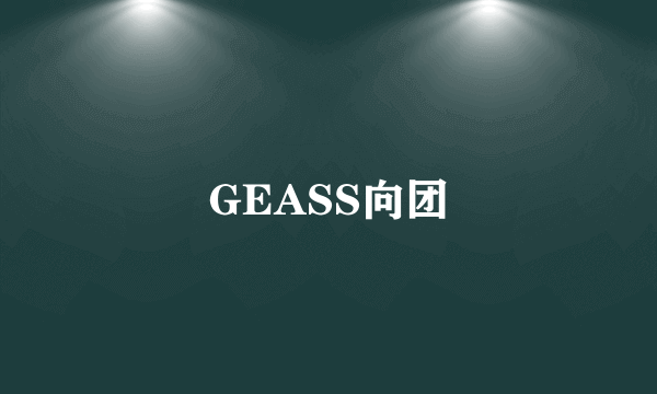 GEASS向团