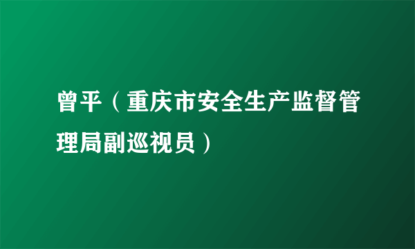 曾平（重庆市安全生产监督管理局副巡视员）