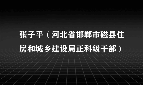 张子平（河北省邯郸市磁县住房和城乡建设局正科级干部）