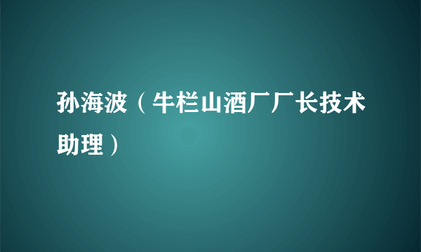 孙海波（牛栏山酒厂厂长技术助理）