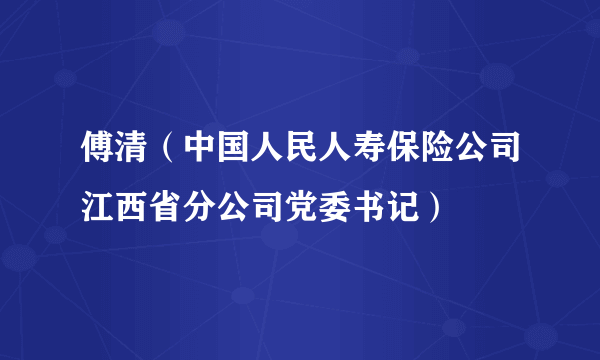 傅清（中国人民人寿保险公司江西省分公司党委书记）