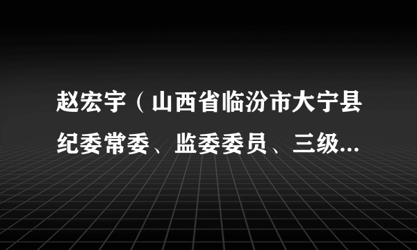 赵宏宇（山西省临汾市大宁县纪委常委、监委委员、三级主任科员）