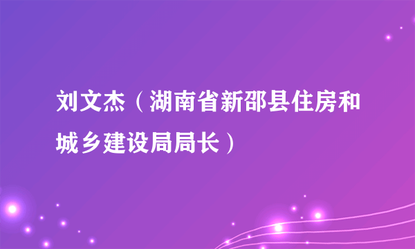 刘文杰（湖南省新邵县住房和城乡建设局局长）