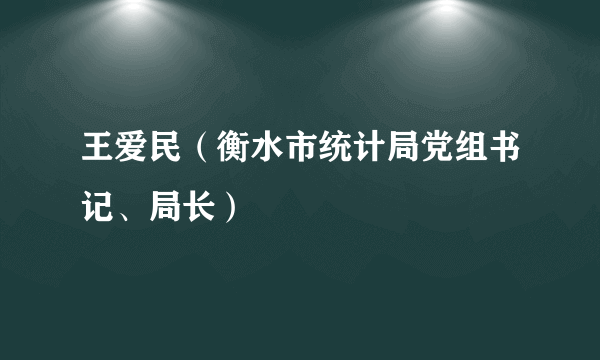 王爱民（衡水市统计局党组书记、局长）