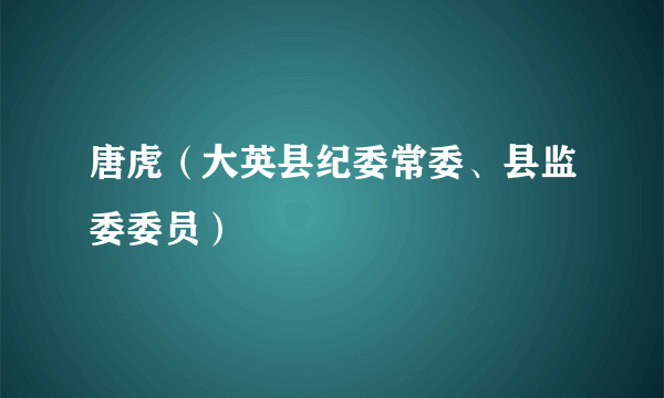 唐虎（大英县纪委常委、县监委委员）