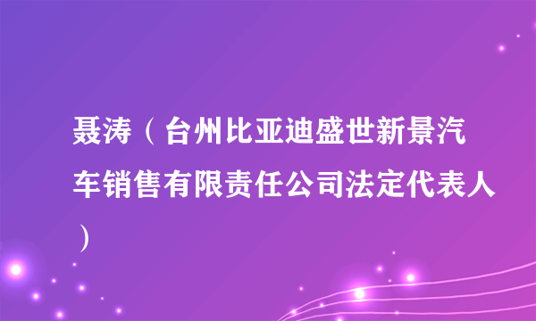 聂涛（台州比亚迪盛世新景汽车销售有限责任公司法定代表人）