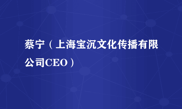 蔡宁（上海宝沉文化传播有限公司CEO）