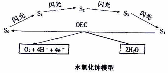 水氧化钟