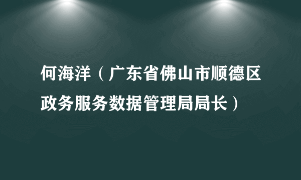 何海洋（广东省佛山市顺德区政务服务数据管理局局长）