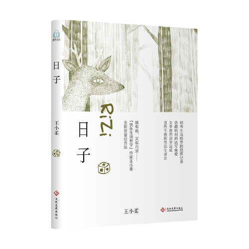 日子（2018年文化发展出版社出版的图书）