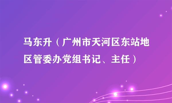 马东升（广州市天河区东站地区管委办党组书记、主任）