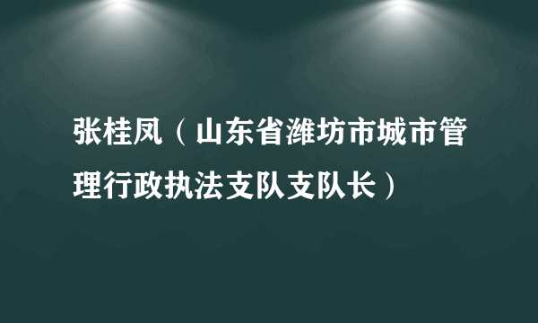 张桂凤（山东省潍坊市城市管理行政执法支队支队长）