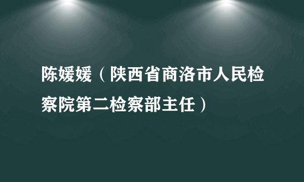 陈媛媛（陕西省商洛市人民检察院第二检察部主任）