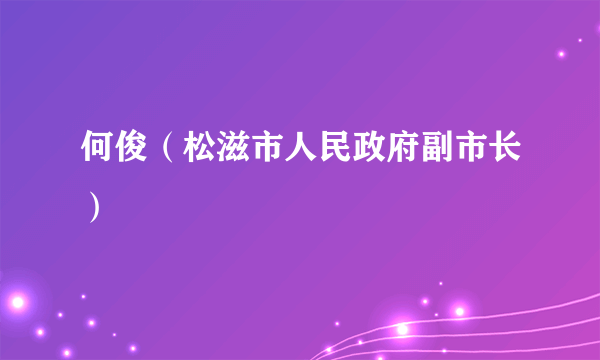 何俊（松滋市人民政府副市长）