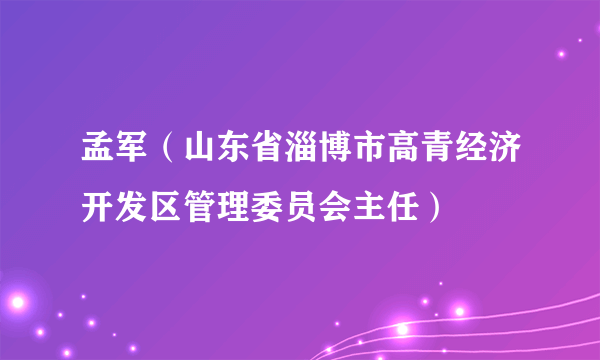 孟军（山东省淄博市高青经济开发区管理委员会主任）