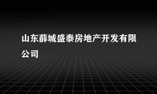 山东薛城盛泰房地产开发有限公司