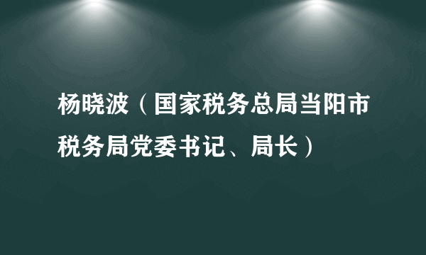 杨晓波（国家税务总局当阳市税务局党委书记、局长）