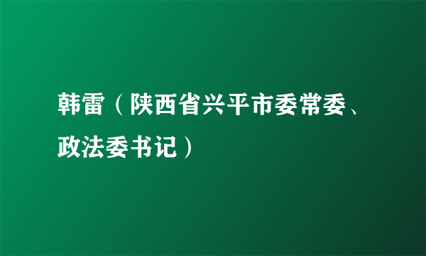 韩雷（陕西省兴平市委常委、政法委书记）