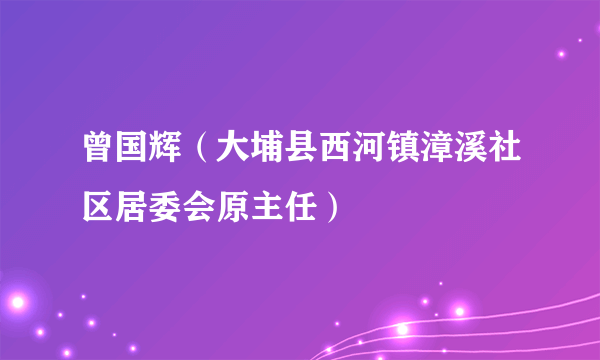 曾国辉（大埔县西河镇漳溪社区居委会原主任）