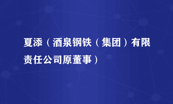 夏添（酒泉钢铁（集团）有限责任公司原董事）