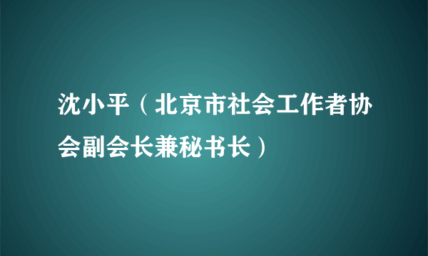 沈小平（北京市社会工作者协会副会长兼秘书长）