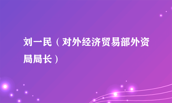 刘一民（对外经济贸易部外资局局长）