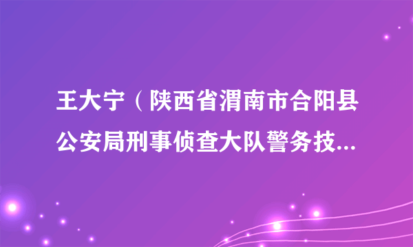 王大宁（陕西省渭南市合阳县公安局刑事侦查大队警务技术三级主管）