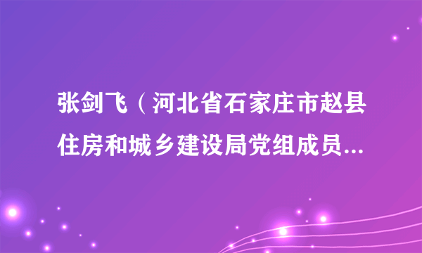 张剑飞（河北省石家庄市赵县住房和城乡建设局党组成员、一级主任科员）