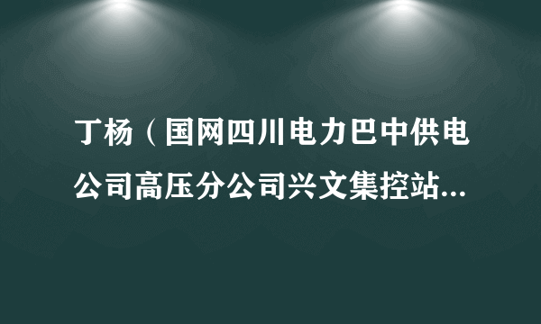 丁杨（国网四川电力巴中供电公司高压分公司兴文集控站变电运维一班副班长）