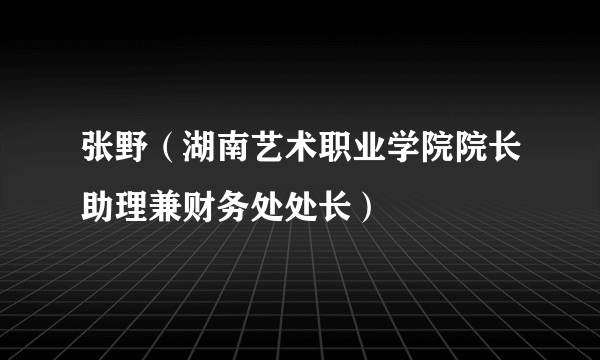 张野（湖南艺术职业学院院长助理兼财务处处长）