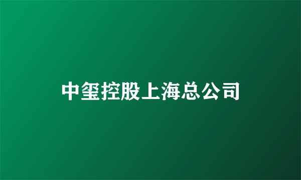 中玺控股上海总公司