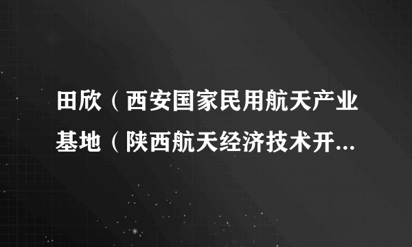 田欣（西安国家民用航天产业基地（陕西航天经济技术开发区）工作委员会委员）