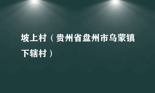 坡上村（贵州省盘州市乌蒙镇下辖村）