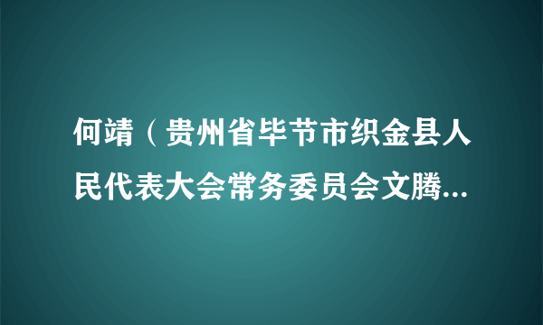 何靖（贵州省毕节市织金县人民代表大会常务委员会文腾街道工作委员会原主任）