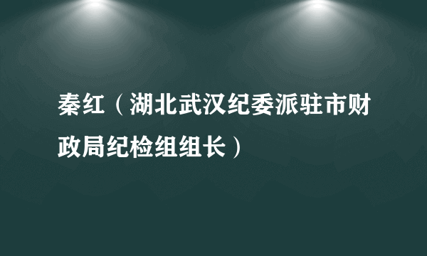 秦红（湖北武汉纪委派驻市财政局纪检组组长）