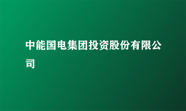 中能国电集团投资股份有限公司