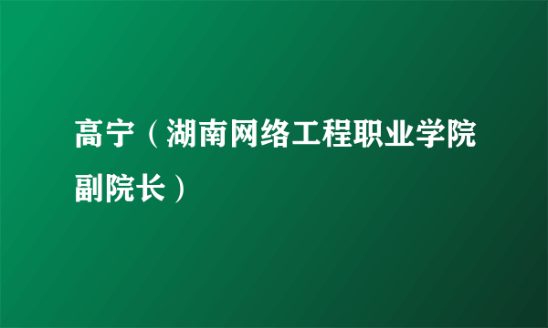 高宁（湖南网络工程职业学院副院长）