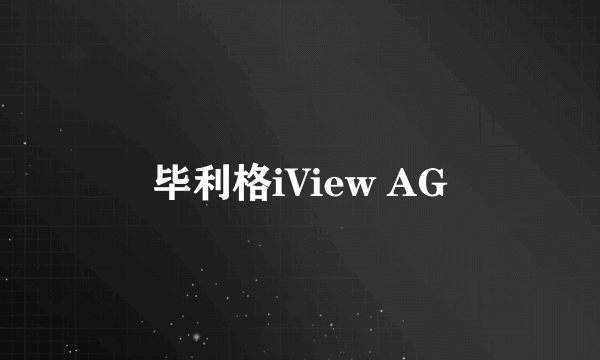 毕利格iView AG