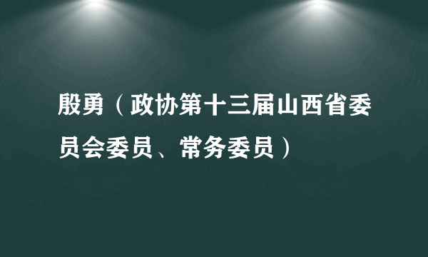 殷勇（政协第十三届山西省委员会委员、常务委员）