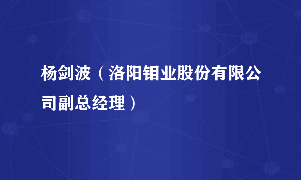 杨剑波（洛阳钼业股份有限公司副总经理）