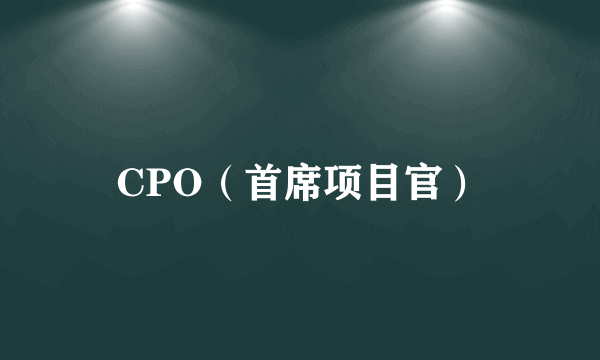 CPO（首席项目官）