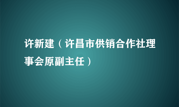 许新建（许昌市供销合作社理事会原副主任）