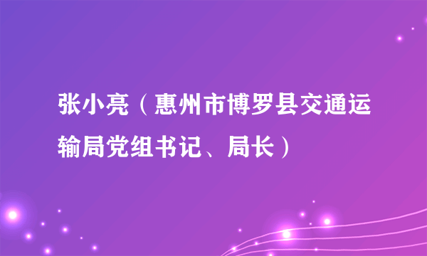 张小亮（惠州市博罗县交通运输局党组书记、局长）