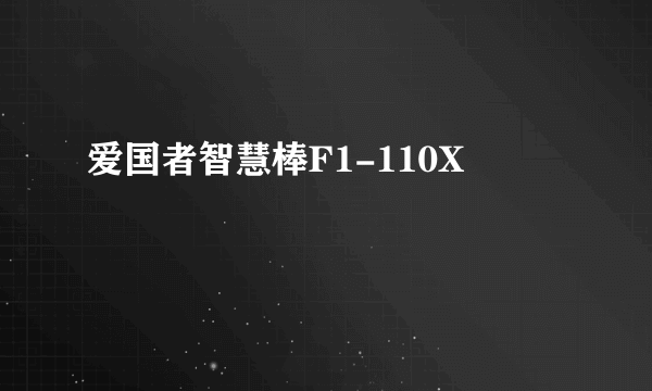 爱国者智慧棒F1-110X