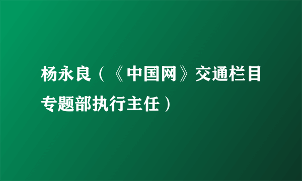 杨永良（《中国网》交通栏目专题部执行主任）