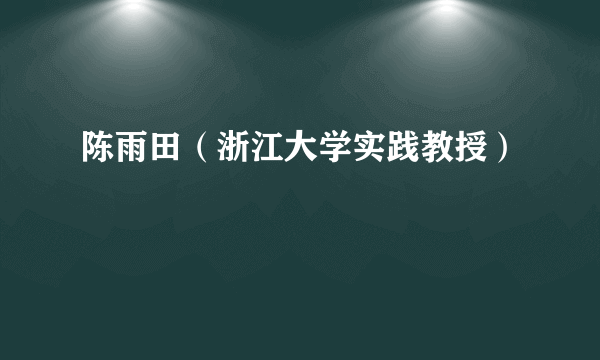 陈雨田（浙江大学实践教授）