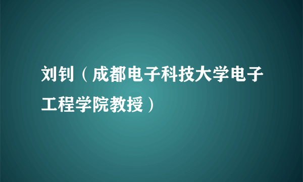 刘钊（成都电子科技大学电子工程学院教授）