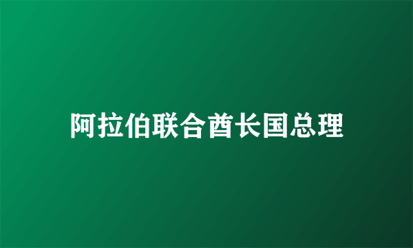 阿拉伯联合酋长国总理