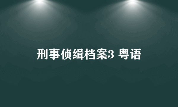 刑事侦缉档案3 粤语