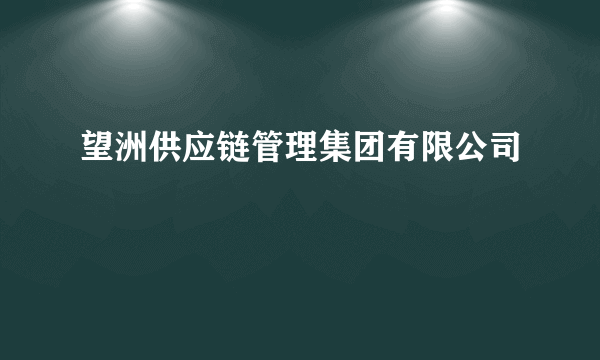 望洲供应链管理集团有限公司